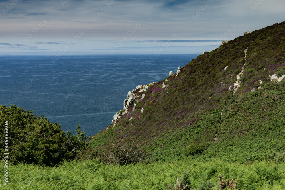 The Channel Islands in summer with good weather and greenery The Channel Islands in summer with good weather and greenery
