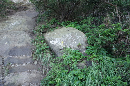 Rock surface of tropical coast 