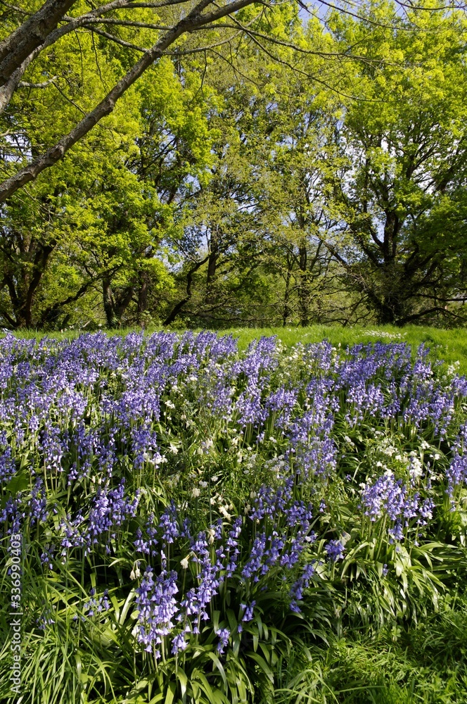 custom made wallpaper toronto digitalRue Paul Langevin à Rennes