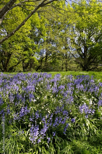 Wallpaper Mural Rue Paul Langevin à Rennes Torontodigital.ca