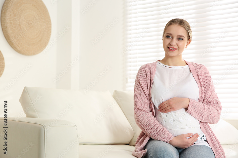 Young pregnant woman on sofa at home. Space for text Young pregnant woman on sofa at home. Space for text