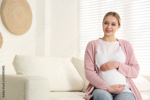Young pregnant woman on sofa at home. Space for text