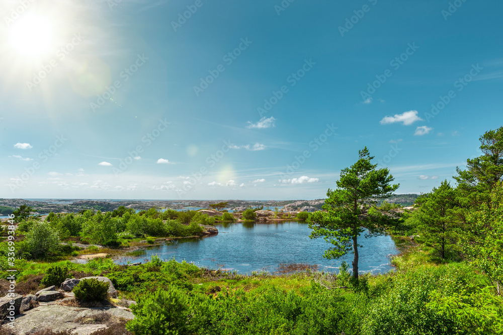 Blick auf die Schärenküste bei Fjellbacka, Schweden,, , see, teich, wald, tannenbaum