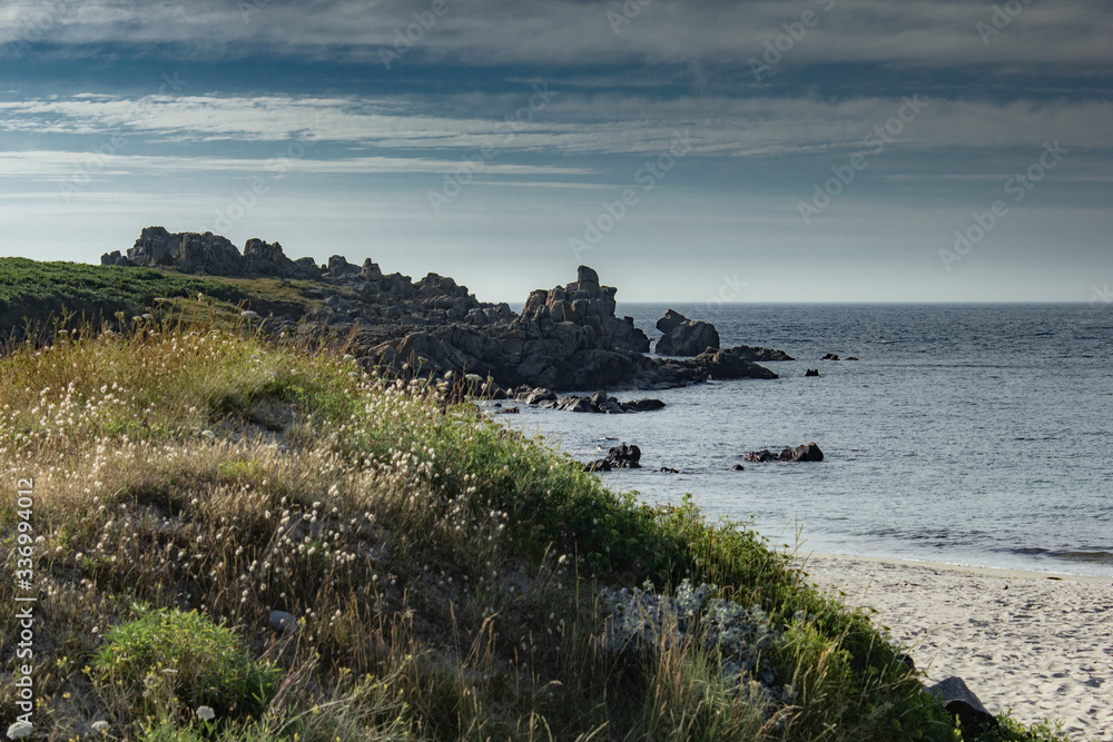 The Channel Islands in summer with good weather and greenery The Channel Islands in summer with good weather and greenery