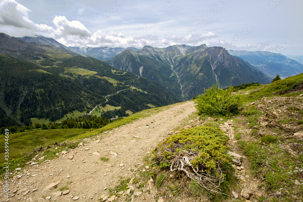 Gravel road in Swiss mountains in summer, Alpine meadow zone