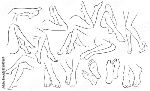 Set of female legs. Сollection of sexy posing female legs. Linear art. Vector illustration of a female body on a white background.