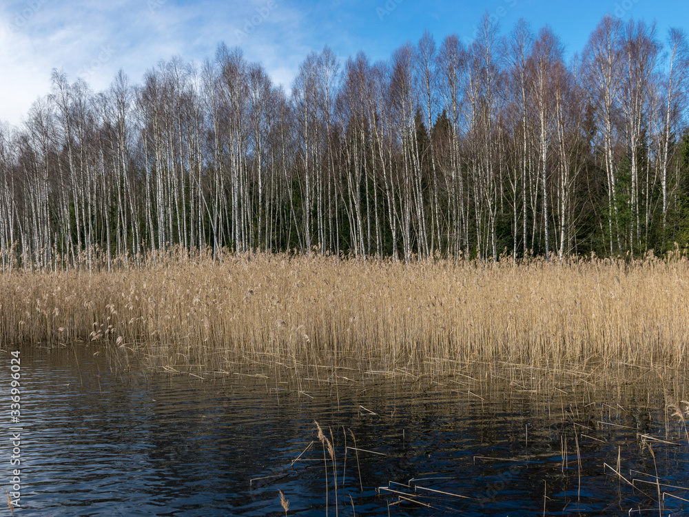 beautiful landscape with lake and sky beautiful landscape with lake and sky