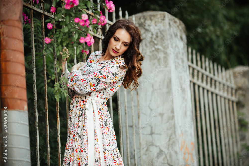 beautiful girl on a field of flowers in a beautiful dress