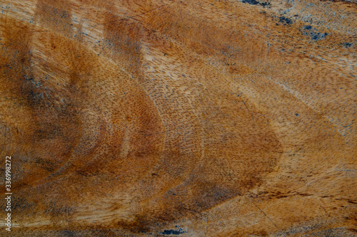 Wood background texture. Top view wooden boards, natural color and pattern, textured wood