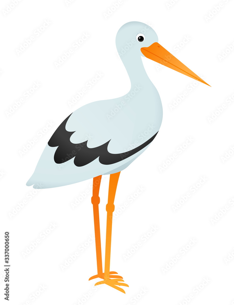 Cartoon stork bird isolated on white vector Cartoon stork bird isolated on white vector