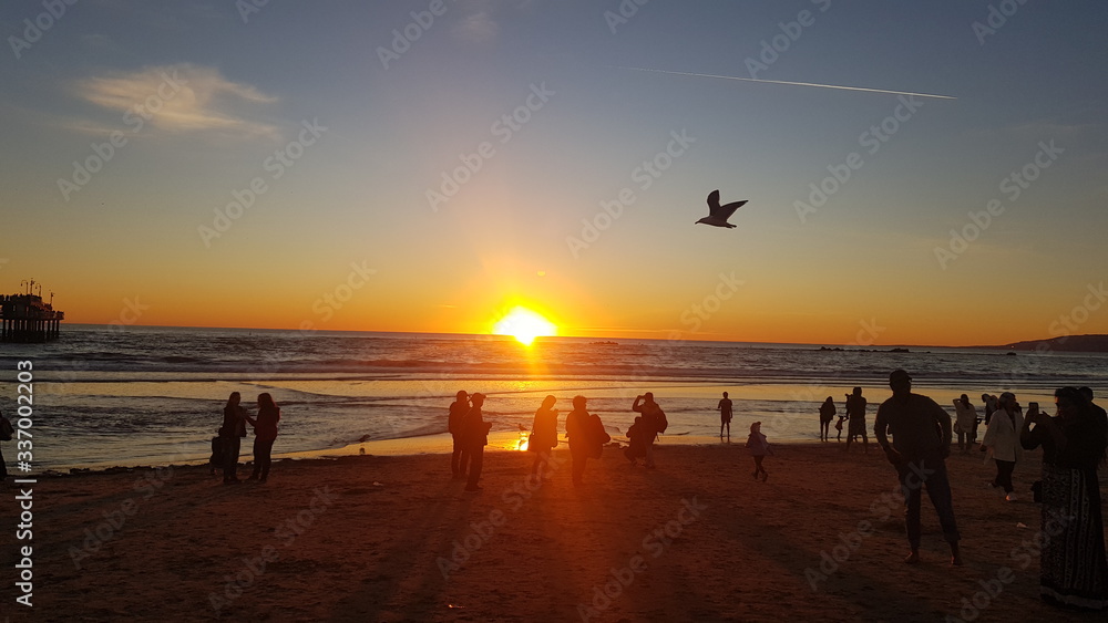 Sunset in the Pacific ocean in Los Angeles. With a Seagull. Horizontally and vertically Sunset in the Pacific ocean in Los Angeles. With a Seagull. Horizontally and vertically