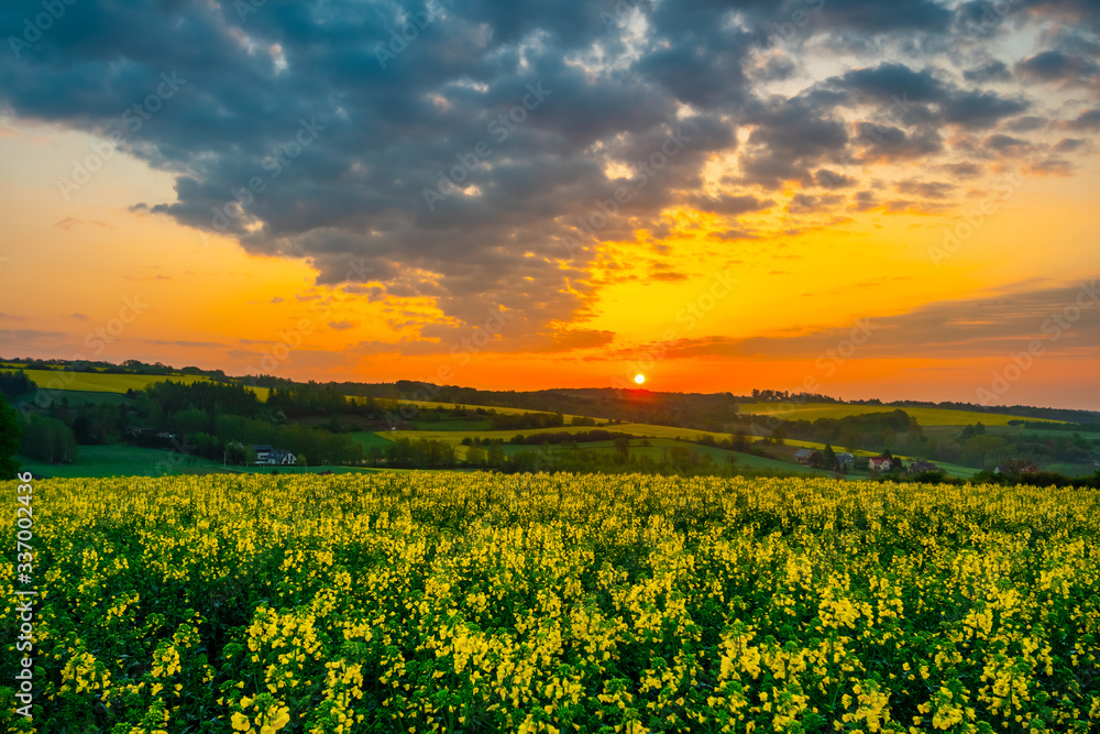 Wschód słońca nad polem rzepaków, małopolska, polska, jura Wschód słońca nad polem rzepaków, małopolska, polska, jura