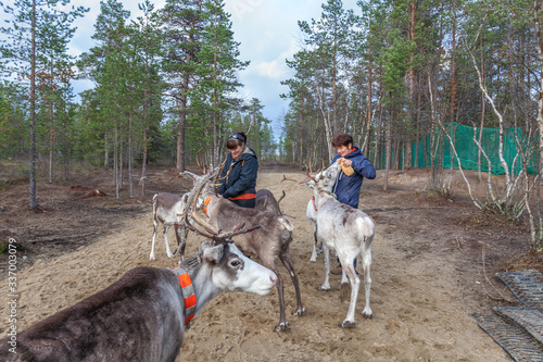 Two women feed reindeer, Sami, saami village on the Kola Peninsula, Russia. Tourist ethnographic parking. Settlement Old Titovka, Murmansk region.