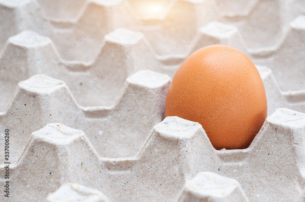 Chicken egg in carton tray, outstanding conception. Chicken egg in carton tray, outstanding conception.