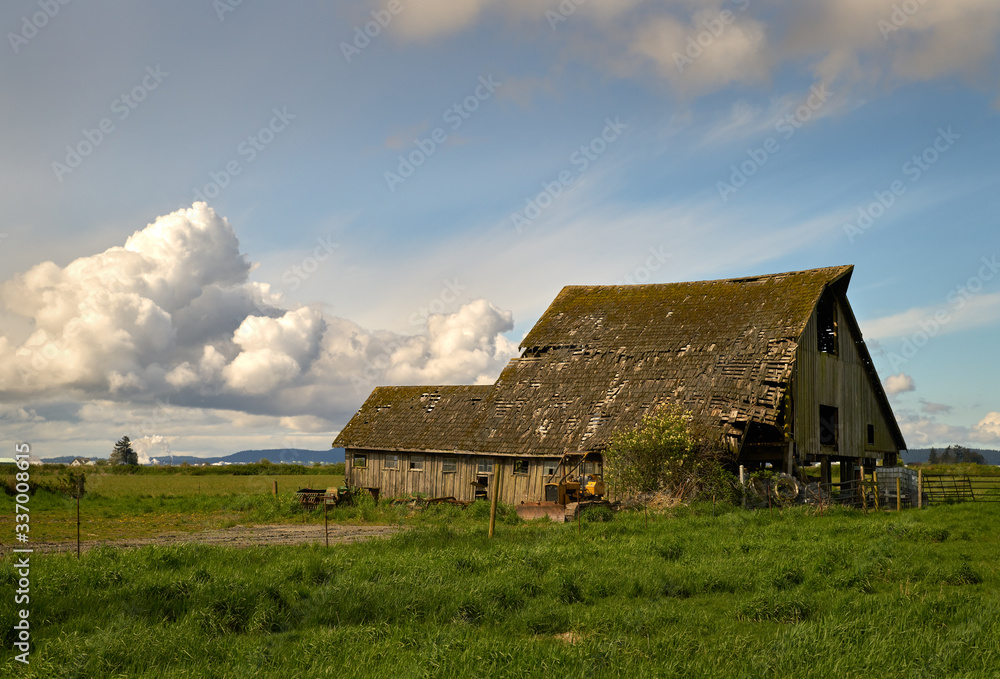 Obraz premium Pacific Northwest Rustic Barn. A weathered barn collapsing in the Pacific Northwest. United States.