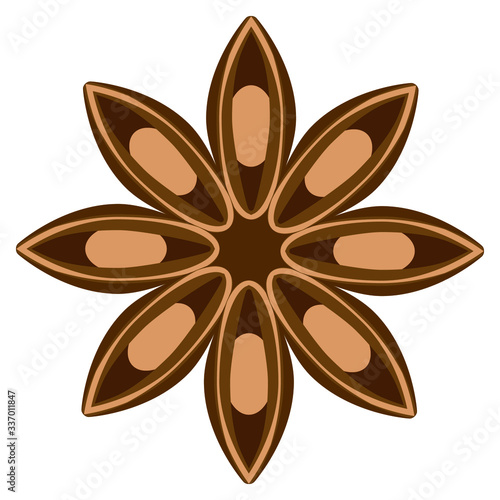 vector illustration of anise