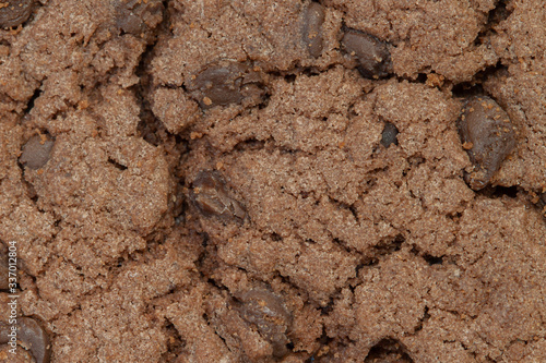 Homemade cookie with chocolate crisps texture macro
