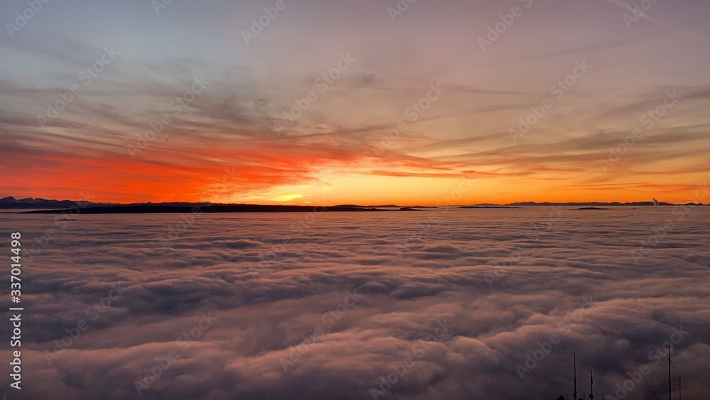 Foggy Sunset on the Üetliberg in Zurich