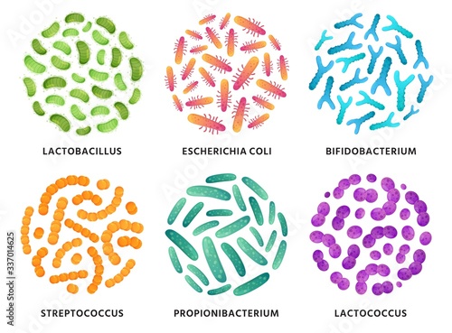 Probiotics. Lactobacillus, bifidobacterium and lactococcus probiotic bacteria in circle. Good bacterias vector illustration set. Bacteria and bifidobacterium, lactobacillus and probiotic