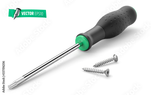 Tournevis torx et vis vectoriels sur fond blanc