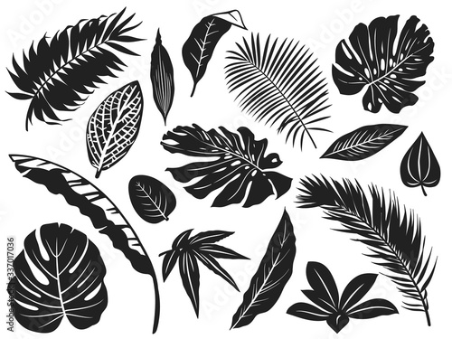 Tropical leaves silhouette. Palm tree leaf, coconut trees and monstera leafs black silhouettes vector illustration set. Monochrome silhouette black tropical jungle greenery