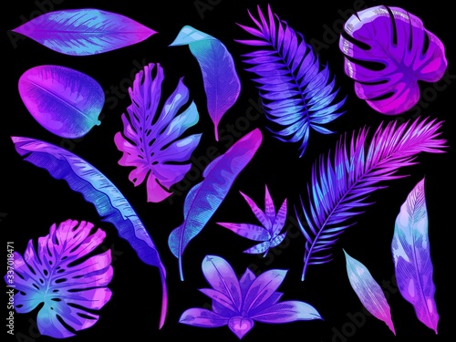 Neon tropical leaves. Color exotic tree and plant leaf, colorful palm leaves hand drawn vector illustration set. Leaf floral tropical, rainforest foliage exotic, fashion botanical