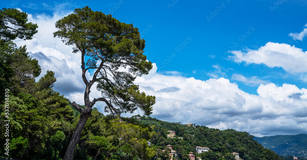 Obraz premium Ligurian sea shore near Portofino. Sunny summer day, Liguria, Italy. Spectacular summer landscape. Colorful seascape of Adriatic sea. Traveling concept background.