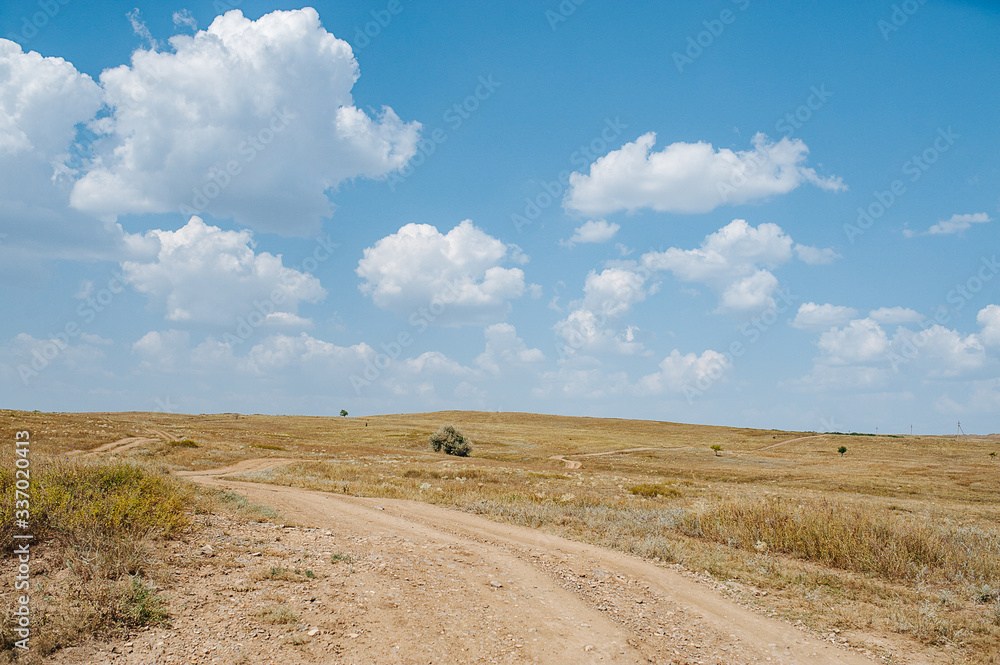 Obraz premium Steppe road. Ecology concept. Summer light