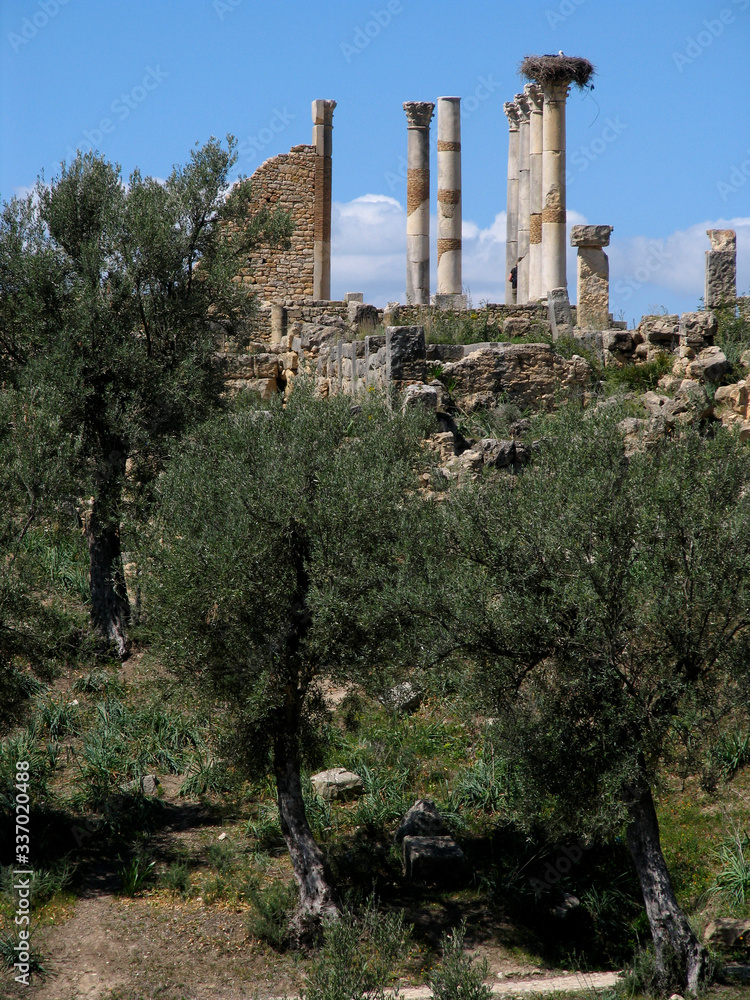 Morocco. Roman archeological site of Volubilis Morocco. Roman archeological site of Volubilis