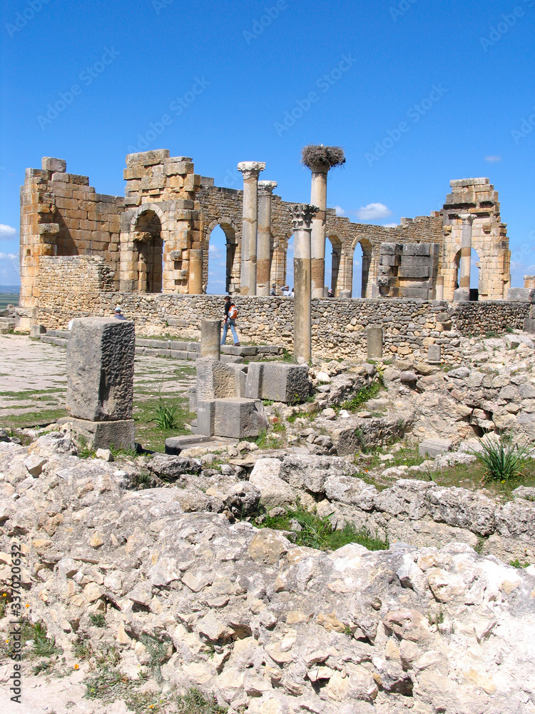 Morocco. Roman archeological site of Volubilis