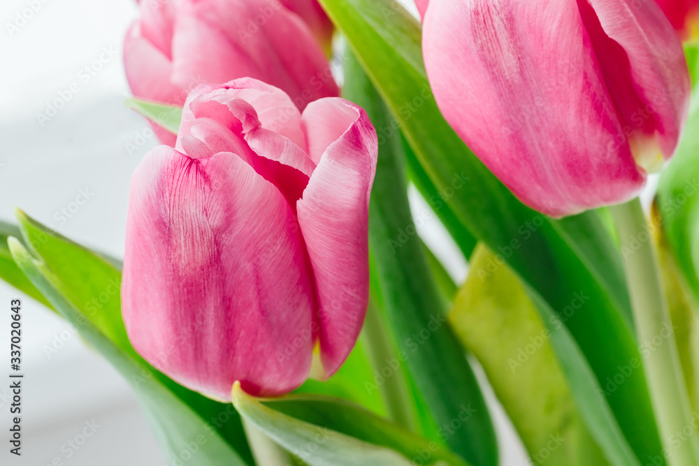Bouquet of beautiful pink tulips against a blurred background of green stems and leaves. Delicate spring flowers as a gift for the holiday. Selective focus Bouquet of beautiful pink tulips against a blurred background of green stems and leaves. Delicate spring flowers as a gift for the holiday. Selective focus