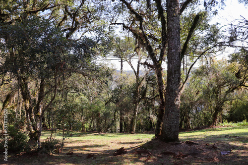 The beautiful landscape found in the Caracol Park in Canela in Rio Grande do Sul.