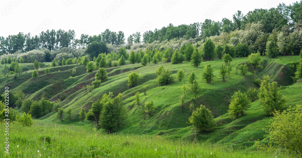 Beautiful rural landscape. Hills and grass. Natural outdoor travel background. Beauty world.