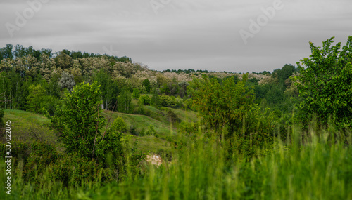 Beautiful rural landscape. Hills and grass. Natural outdoor travel background. Beauty world.