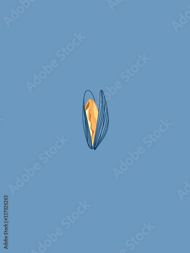 Mussel Sketch Design Drawing on Blue