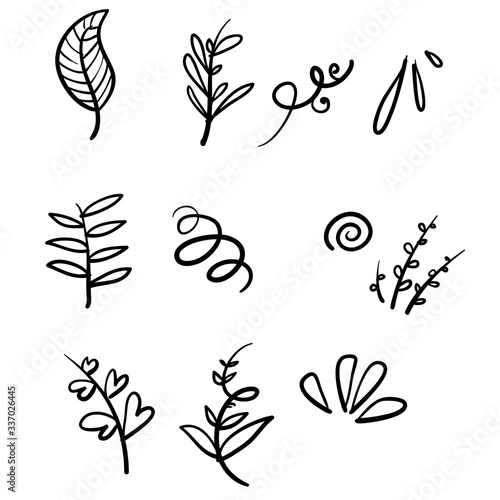 hand drawn branch and leaves illustration set with doodle style vector isolated