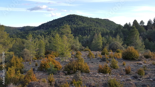 Bosque Mediterraneo en Cuenca