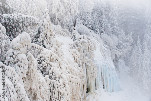 Foggy winter landscape of the frosted and iced shoreline of the Tahquamenon River, Tahquamenon Falls State Park, Michigan's Upper Peninsula, USA