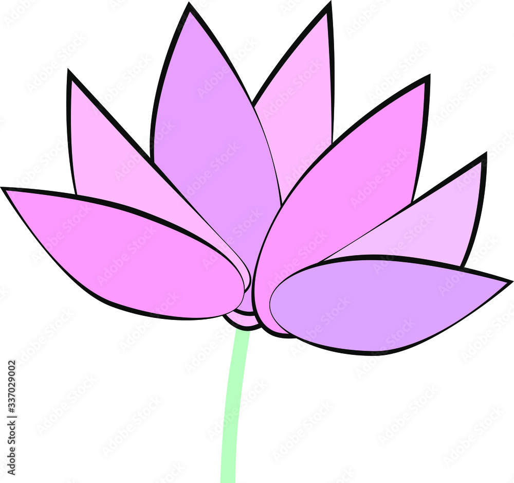 Naklejka premium Lotus flower.