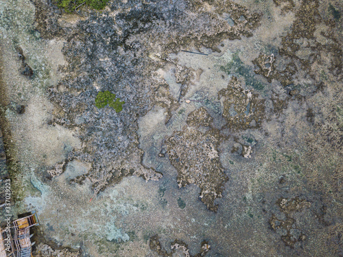Aerial dead coral reef at Cloud 9 beach pattern background