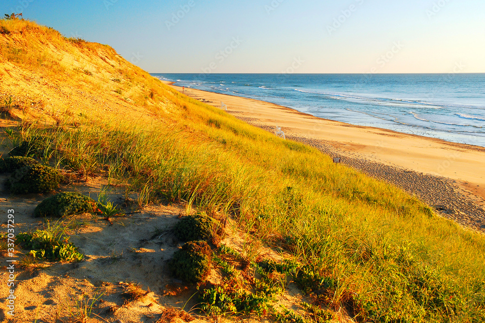 The first rays of light strike the grassy dunes of Cape Cod