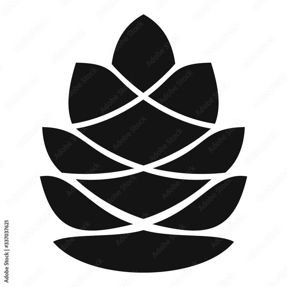 Fotografia Spruce pine cone icon