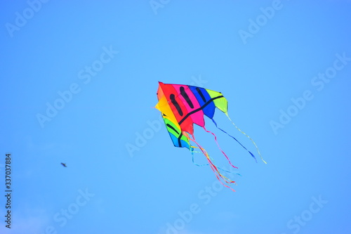A kite is a flying object that is attached to the ground by a rope, or ropes. Kites can be flown for fun, or in competitions. In India, people fly kites on Makar Sankranti.