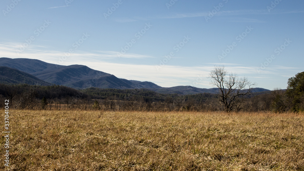 Fototapeta premium Smoky Mountains