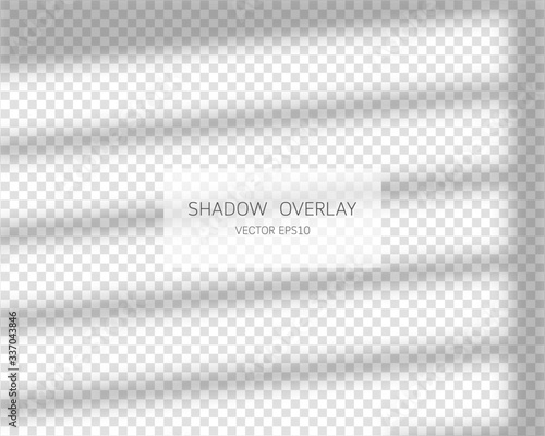 Shadow overlay effect. Natural shadows from window isolated on transparent background. Vector illustration. 