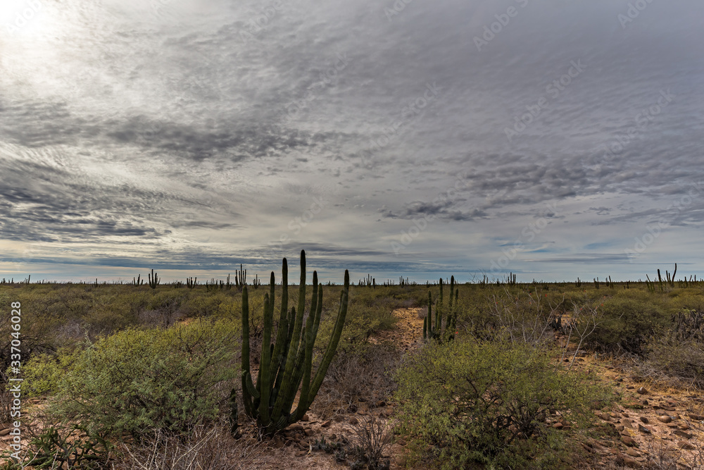 Roadtrip durch das wunderschöne Baja Kalifornien Roadtrip durch das wunderschöne Baja Kalifornien