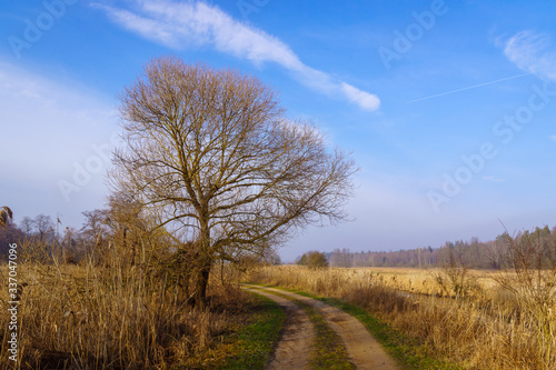 Fototapeta Naklejka Na Ścianę i Meble -  Rzeka Supraśl. Dolina Supraśli. Puszcza Knyszyńska, Podlasie, Polska