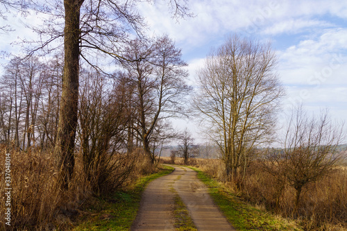 Fototapeta Naklejka Na Ścianę i Meble -  Rzeka Supraśl. Dolina Supraśli. Puszcza Knyszyńska, Podlasie, Polska