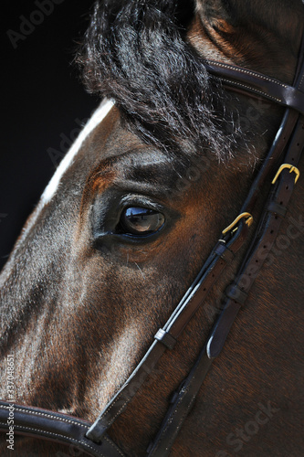 Horses eye © Mariana