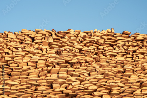 Trimming wooden lumber at a forest mill